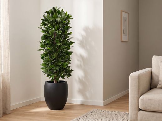 Designplants/Luca Lifestyle Laurier kolom kunstplant (h:125cm) met Grigio Tall Balloon bloempot - Groen (UV bestendig) (bloempot = Anthracite)