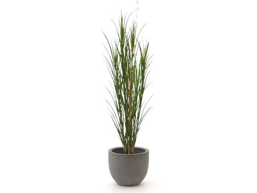 Designplants/Luca Lifestyle Rietgras kunstplant (h:165cm) met Grigio New Egg bloempot - Groen (UV bestendig) (bloempot = Natural Concrete)