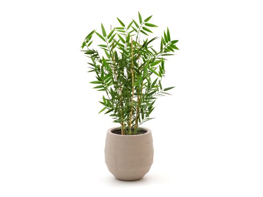 Designplants/Luca Lifestyle Japanse Bamboe kunstplant (h:60cm) met Bordo Balloon bloempot - Groen (bloempot = Sand)