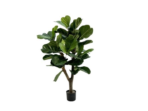 Designplants Lyrata Y kunstboom (h:130cm)