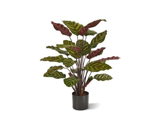 Designplants Red Calathea Makoyana kunstplant (h:60cm) - Groen t.b.v. potmaat S
