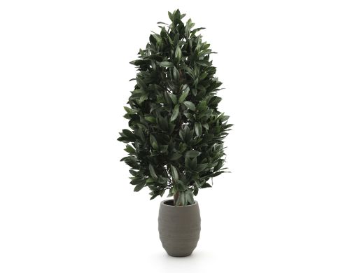 Designplants/Luca Lifestyle Laurier pyramide kunstplant (h:150cm) met Bordo Tall Balloon bloempot - Groen (UV bestendig) (bloempot = Clay)