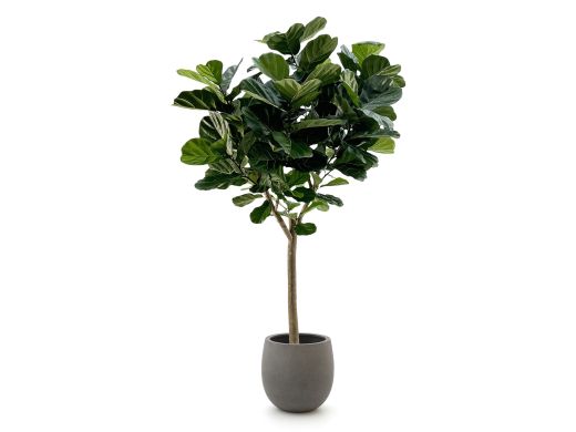 Designplants/Luca Lifestyle Lyrata Y kunstboom (h:220cm) met Grigio Balloon bloempot - Groen (bloempot = Natural Concrete)