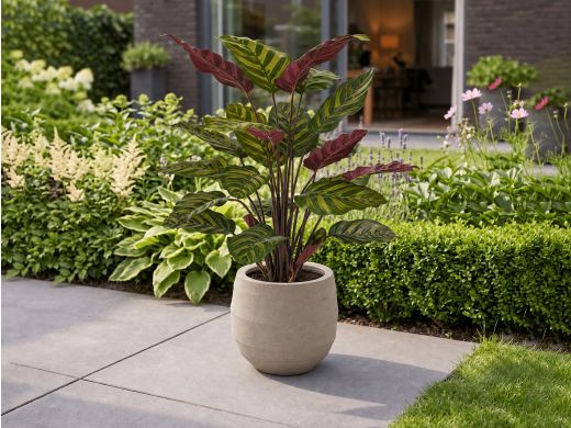Designplants/Luca Lifestyle Red Calathea Makoyana kunstplant (h:60cm) met Bordo Balloon bloempot - Groen (bloempot = Sand)