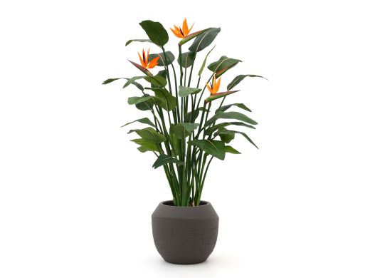 Designplants/Luca Lifestyle Strelitzia kunstplant (h:145cm) met Ruvido Combi bloempot - Oranje (bloempot = Ash Brown)