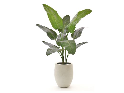 Designplants/Luca Lifestyle Strelitzia Nicolai kunstplant (h:145cm) met Grigio Tall Balloon bloempot - Groen (bloempot = Antique White)