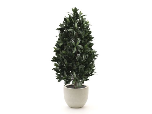 Designplants/Luca Lifestyle Laurier pyramide kunstplant (h:150cm) met Grigio New Egg bloempot - Groen (UV bestendig) (bloempot = Antique White)