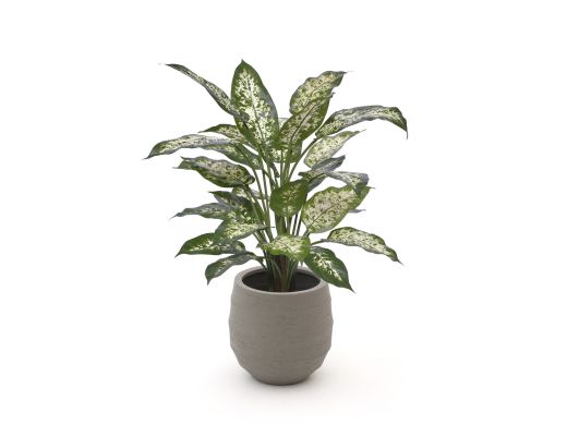 Designplants/Luca Lifestyle Dieffenbachia kunstplant (h:60cm) met Bordo Balloon bloempot - Groen (bloempot = Clay)