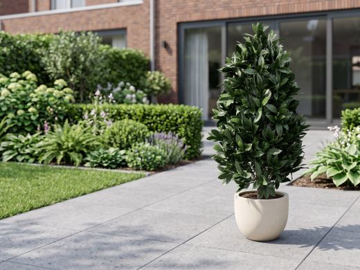 Designplants/Luca Lifestyle Laurier pyramide kunstplant (h:150cm) met Grigio New Egg bloempot - Groen (UV bestendig) (bloempot = Antique White)