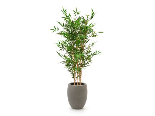 Designplants/Luca Lifestyle Japanse Bamboe kunstplant (h:120cm) met Grigio Tall Balloon bloempot - Groen (UV bestendig) (bloempot = Natural Concrete)