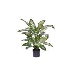 Designplants Dieffenbachia kunstplant (h:60cm)