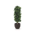 Designplants/Luca Lifestyle Laurier kolom kunstplant (h:125cm) met Terreno New Egg bloempot