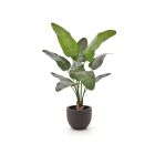 Designplants/Luca Lifestyle Strelitzia Nicolai kunstplant (h:145cm) met Terreno New Egg bloempot