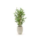Designplants/Luca Lifestyle Japanse Bamboe kunstplant (h:90cm) met Grigio Tall Balloon bloempot