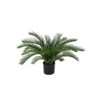 Designplants Cycas palm kunstplant (h:60cm)