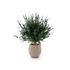 Designplants/Luca Lifestyle Lavendel bol kunstplant (h:60cm) met Bordo Balloon bloempot
