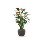 Designplants/Luca Lifestyle Strelitzia kunstplant (h:145cm) met Ruvido Combi bloempot