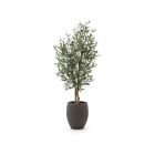 Designplants/Luca Lifestyle Olijf kunstboom (h:150cm) met Terreno Tall Balloon bloempot