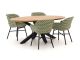 Hartman Delphine/Stephanie 200cm dining tuinset 5-delig