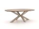 ROUGH-Y Ellips dining tuintafel 240x120cm