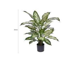 Designplants Dieffenbachia kunstplant (h:60cm) - Groen t.b.v. potmaat S
