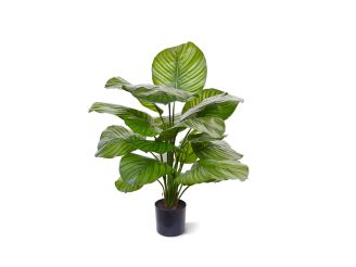Designplants/Luca Lifestyle Calathea Fasciata kunstplant (h:70cm) met Bordo Balloon bloempot - Groen (bloempot = Sand)