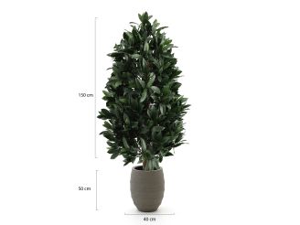 Designplants/Luca Lifestyle Laurier pyramide kunstplant (h:150cm) met Bordo Tall Balloon bloempot - Groen (UV bestendig) (bloempot = Clay)