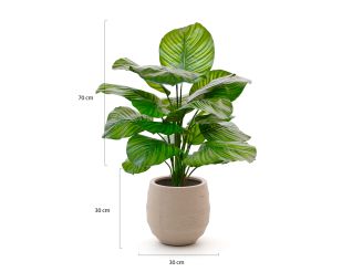 Designplants/Luca Lifestyle Calathea Fasciata kunstplant (h:70cm) met Bordo Balloon bloempot - Groen (bloempot = Sand)