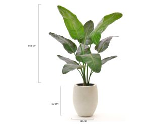 Designplants/Luca Lifestyle Strelitzia Nicolai kunstplant (h:145cm) met Grigio Tall Balloon bloempot - Groen (bloempot = Antique White)