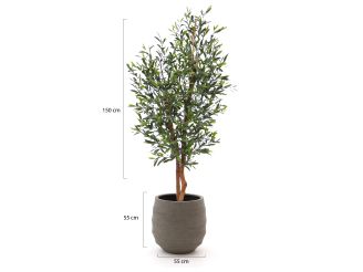 Designplants/Luca Lifestyle Olijf kunstboom (h:150cm) met Bordo Balloon bloempot - Groen (UV bestendig) (bloempot = Clay)