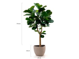 Designplants/Luca Lifestyle Lyrata Y kunstboom (h:170cm) met Ruvido Organic bloempot - Groen (bloempot = Sand)