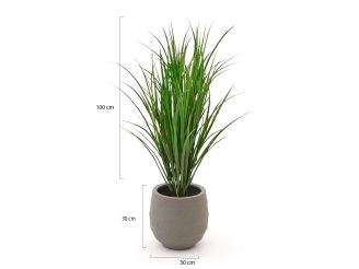 Designplants/Luca Lifestyle Rietgras kunstplant (h:100cm) met Bordo Balloon bloempot - Groen (UV bestendig) (bloempot = Clay)