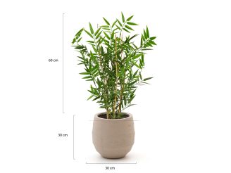 Designplants/Luca Lifestyle Japanse Bamboe kunstplant (h:60cm) met Bordo Balloon bloempot - Groen (bloempot = Sand)
