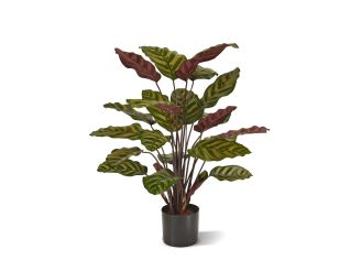 Designplants/Luca Lifestyle Red Calathea Makoyana kunstplant (h:60cm) met Bordo Balloon bloempot - Groen (bloempot = Sand)