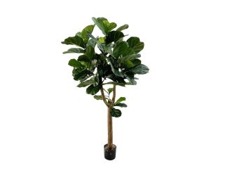 Designplants/Luca Lifestyle Lyrata Y kunstboom (h:170cm) met Grigio Balloon bloempot - Groen (bloempot = Anthracite)