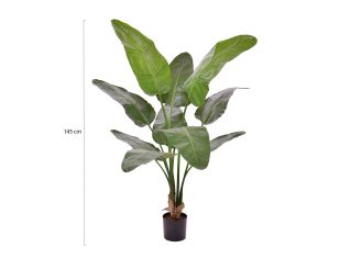 Designplants Strelitzia Nicolai kunstplant (h:145cm) - Groen t.b.v. potmaat M
