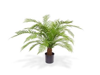 Designplants/Luca Lifestyle Alsophillia varen kunstplant (h:80cm) met Grigio New Egg bloempot - Groen (UV Bestendig) (bloempot = Antique White)