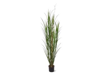 Designplants/Luca Lifestyle Rietgras kunstplant (h:165cm) met Grigio New Egg bloempot - Groen (UV bestendig) (bloempot = Natural Concrete)