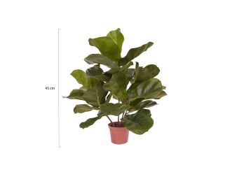 Designplants Lyrata kunstplant (h:45cm) - Groen t.b.v. potmaat S