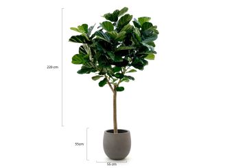 Designplants/Luca Lifestyle Lyrata Y kunstboom (h:220cm) met Grigio Balloon bloempot - Groen (bloempot = Natural Concrete)