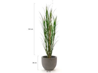 Designplants/Luca Lifestyle Rietgras kunstplant (h:165cm) met Grigio New Egg bloempot - Groen (UV bestendig) (bloempot = Natural Concrete)