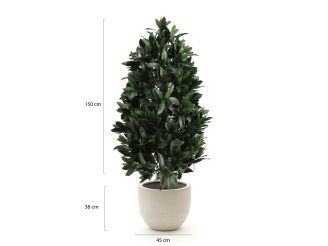 Designplants/Luca Lifestyle Laurier pyramide kunstplant (h:150cm) met Grigio New Egg bloempot - Groen (UV bestendig) (bloempot = Antique White)
