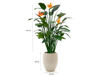 Designplants/Luca Lifestyle Strelitzia kunstplant (h:145cm) met Grigio Tall Balloon bloempot - Oranje (bloempot = Antique White)