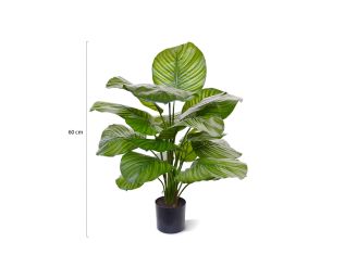 Designplants Calathea Fasciata kunstplant (h:70cm) - Groen t.b.v. potmaat S