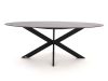 Bellagio Rumo/Furato ellips 200cm dining tuinset 7-delig stapelbaar