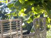 Intenso Asti dining tuinstoel - Taupe - Naturel - Bruin - Wicker (vlechtwerk)