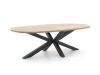 Tierra Outdoor Liv/ROUGH-Y Ellips 240cm dining tuinset 7-delig stapelbaar
