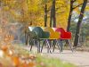 Hartman Sophie Element dining tuinstoel - Groen - Kunststof