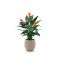 Designplants/Luca Lifestyle Strelitzia kunstplant (h:115cm) met Bordo Balloon bloempot