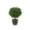 Designplants/Luca Lifestyle Buxus bol kunstplant (h:50cm) met Terreno New Egg bloempot